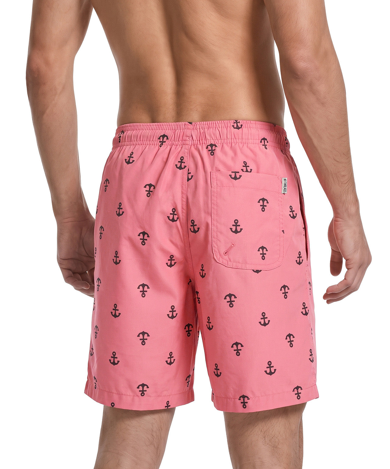 Anchor Coral